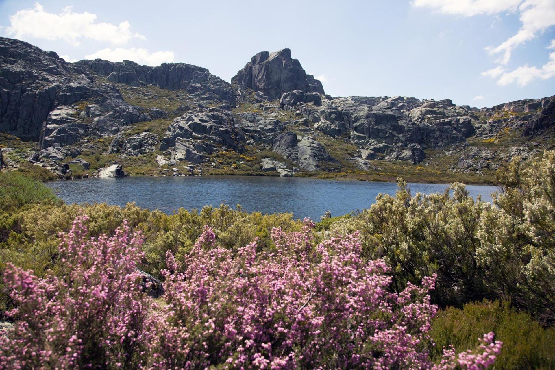 Apartament Mountain T3 Duplex Abrigo Do Lobo