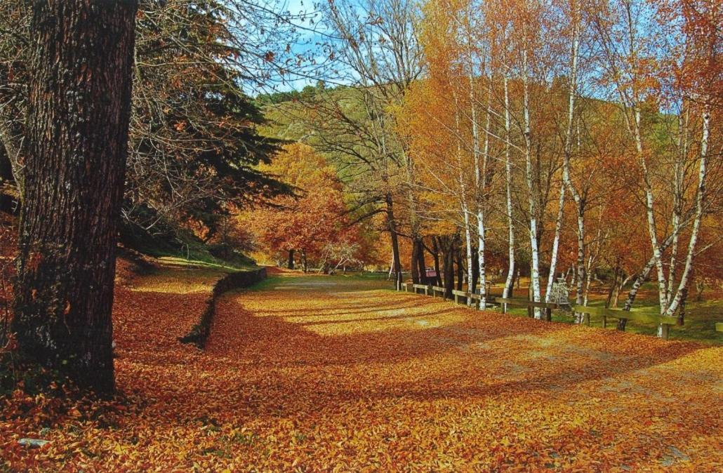 Mountain T3 Duplex Abrigo Do Lobo Apartament *
